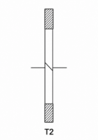 T2