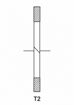 T2