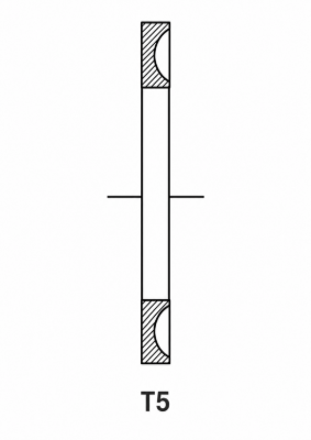 T5